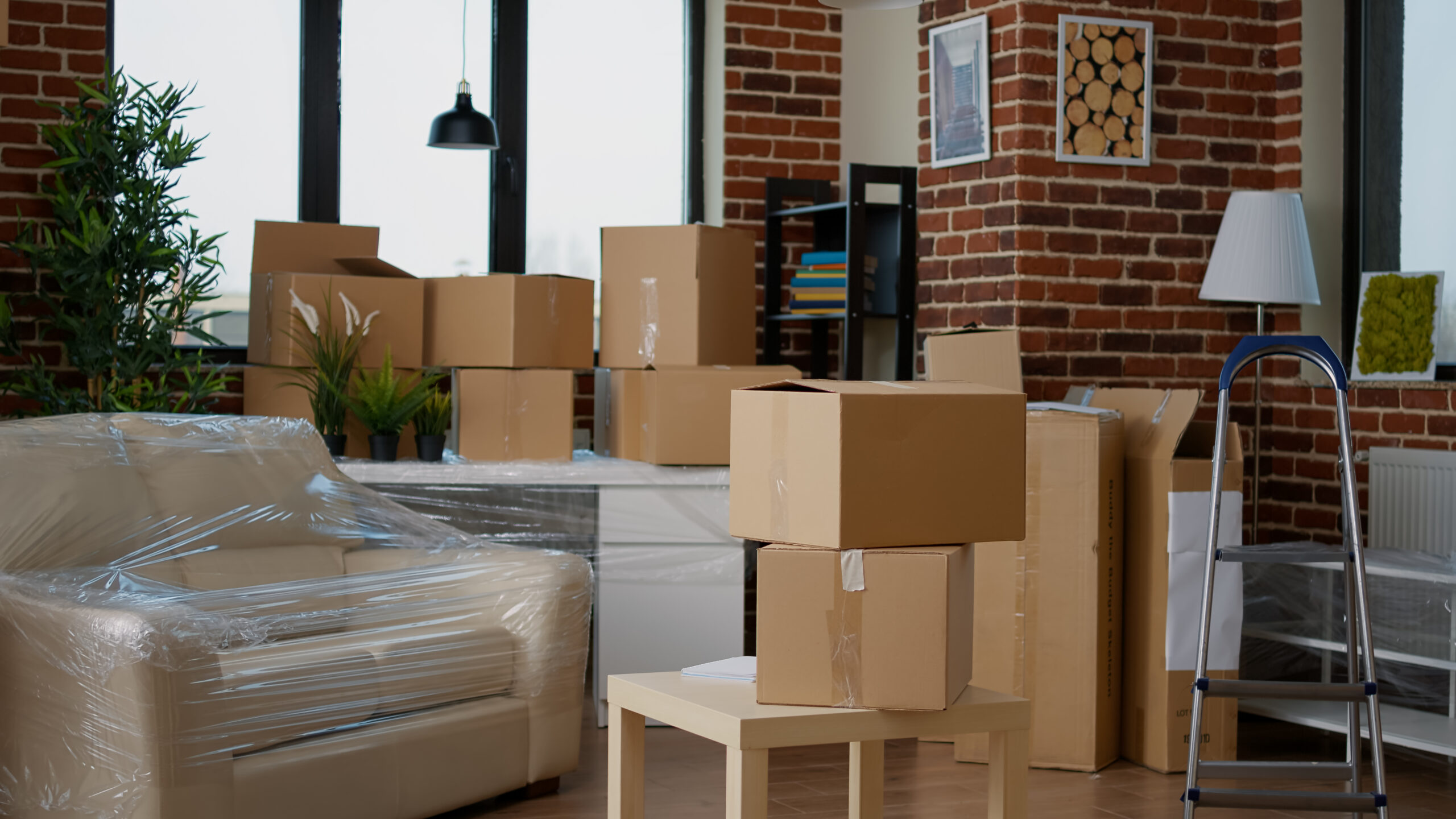 Skyline Movers in Sharjah – Your Reliable Moving Partner